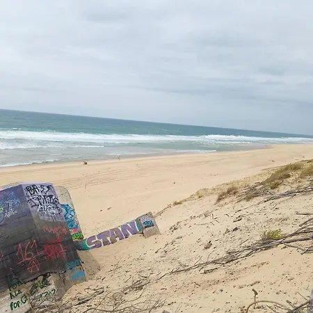 50 M , Vue Carnon-Plage