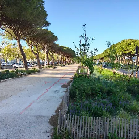 Apartment 50 M , Vue Carnon-Plage